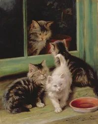 Gatitos